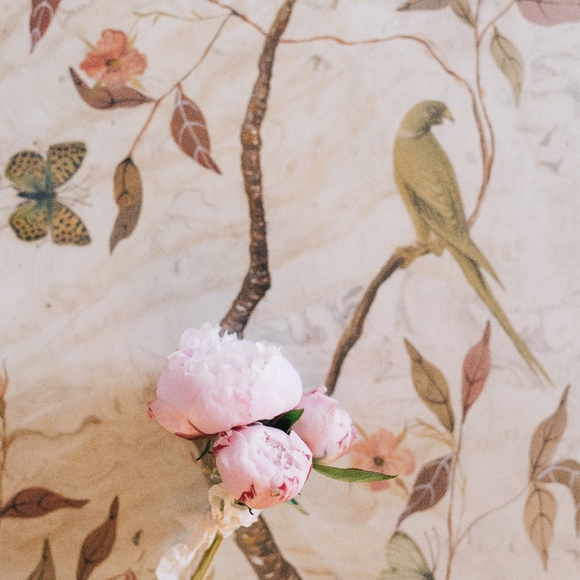 Meet your Posher, Bittersweetsouls - Picture 12 of 14